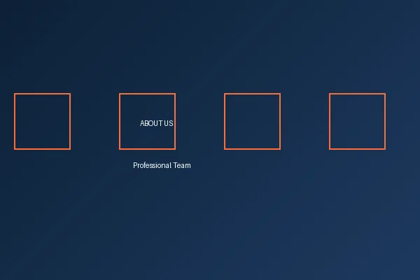 买球网专业团队合影